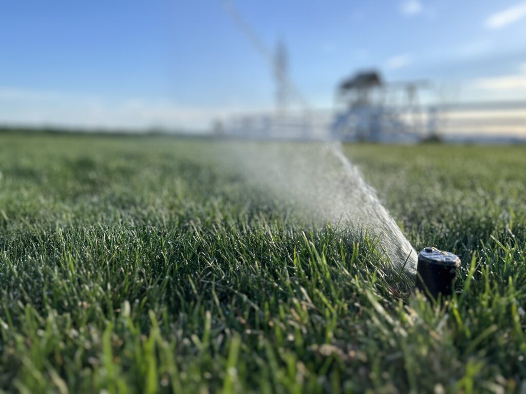 Sprinkler head spraying on a green lawn.